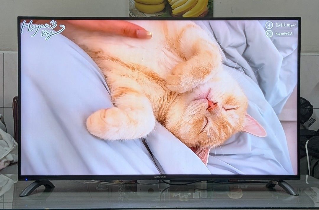 電視